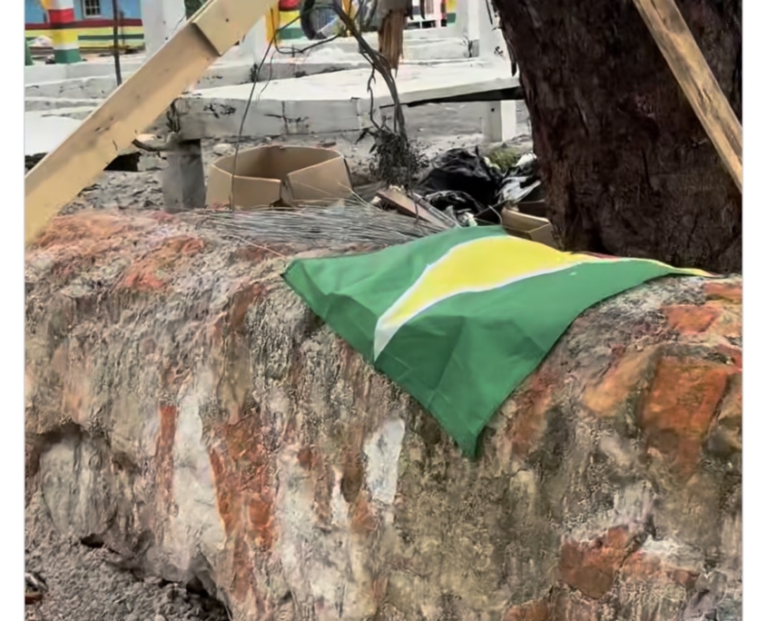 Desecration of Flag